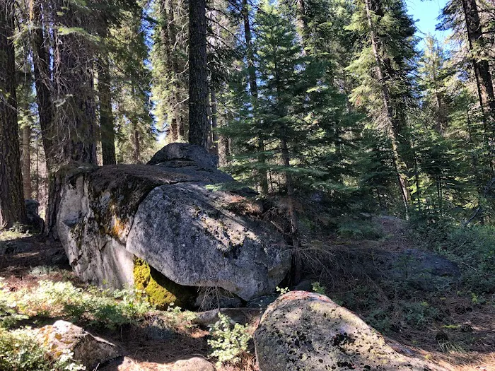 Silver Creek Group Campground 5