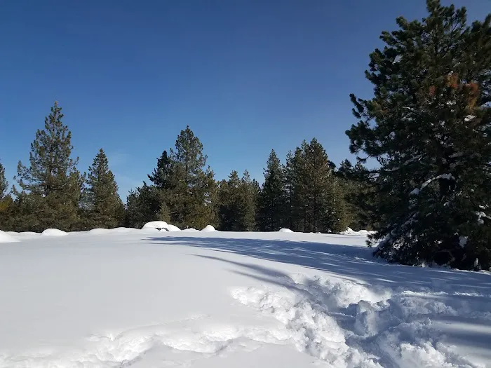 Silver Creek Group Campground 1
