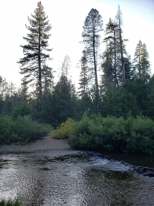 Silver Creek Group Campground 8