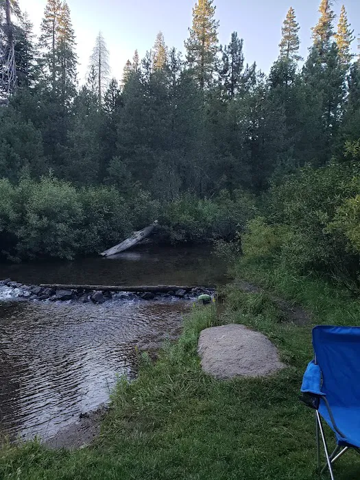 Silver Creek Group Campground 7