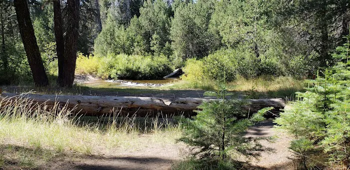 Silver Creek Group Campground 9
