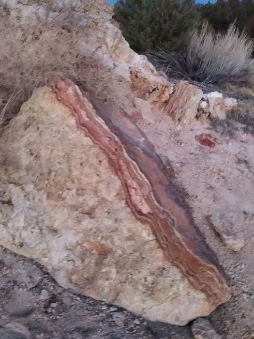 Travertine Hot Springs Picture 5
