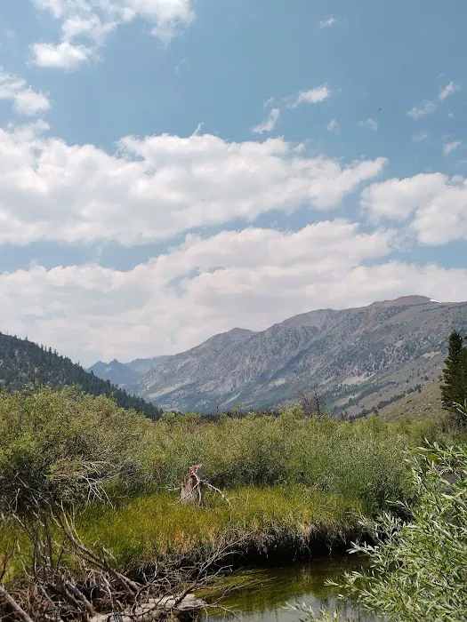 Green Creek Campground 7