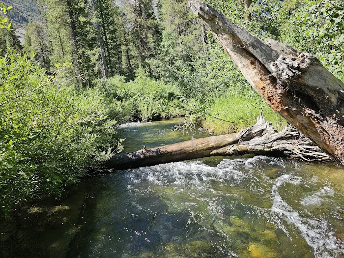 Green Creek Campground 9