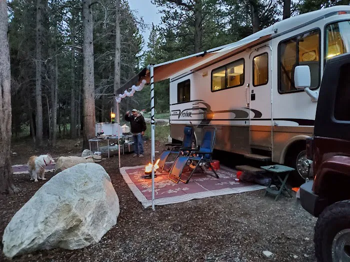 Upper Virginia Creek Primitive Campground (recgovnpsdata) 6