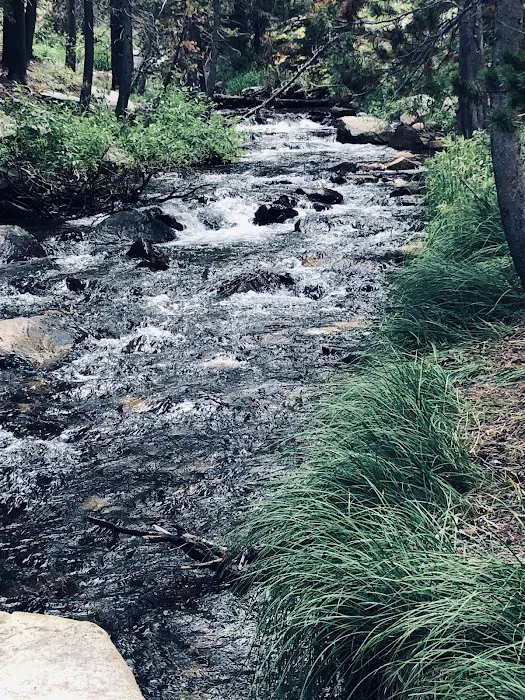 Upper Virginia Creek Primitive Campground (recgovnpsdata) 8