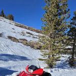 Upper Virginia Creek Primitive Campground (recgovnpsdata)