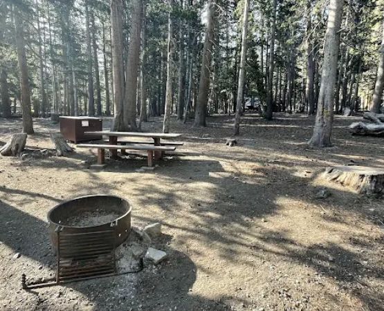Trumbull Lake Campground