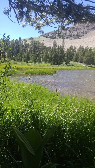 Trumbull Lake Campground 6