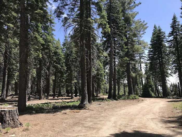 Board Tree Campground 6