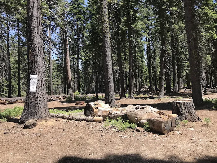 Board Tree Campground 4