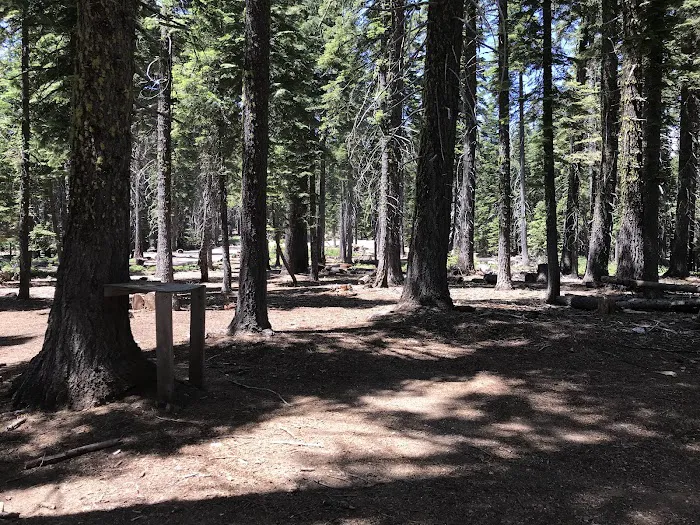 Board Tree Campground 7