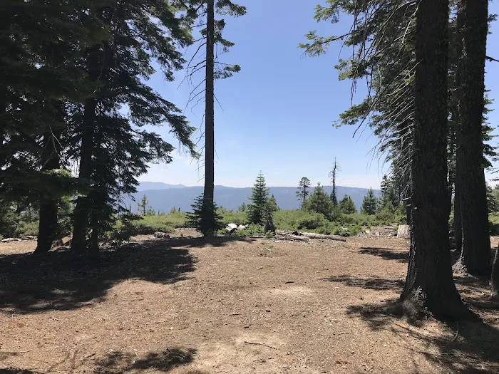 Board Tree Campground 2