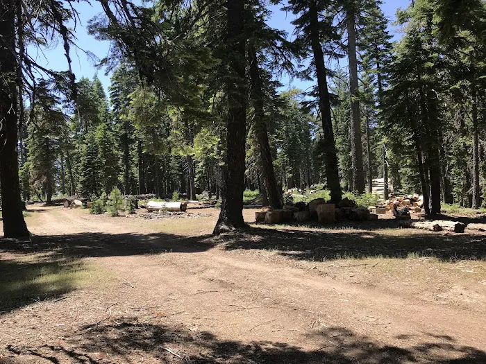 Board Tree Campground 5