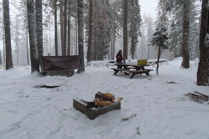 Board Tree Campground 0
