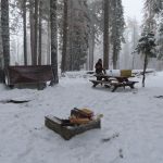 Board Tree Campground