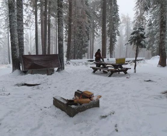 Board Tree Campground