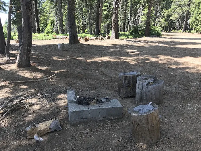 Board Tree Campground 1