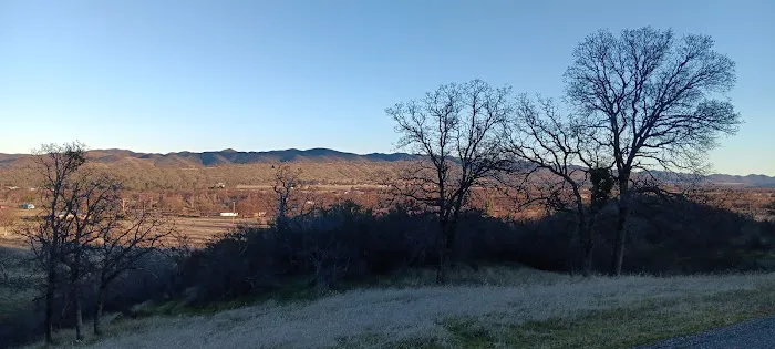 Coyote Cove 2