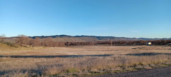 Coyote Cove 8