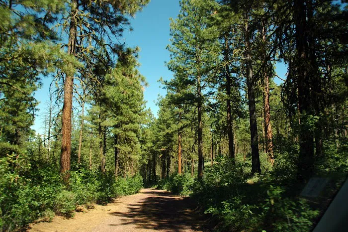 Jane's Reservoir Campground 3