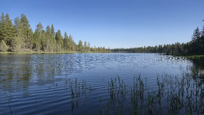 Jane's Reservoir Campground 8