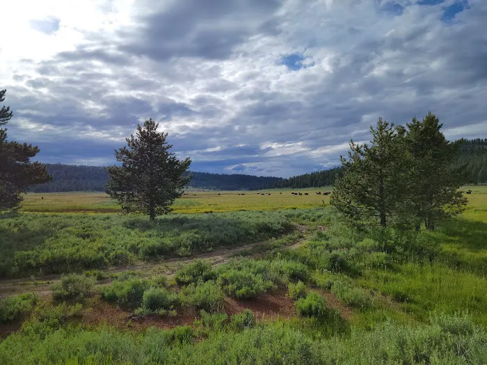 Mud Creek Campground 7