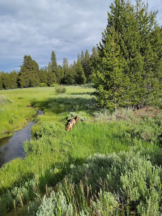 Mud Creek Campground 9