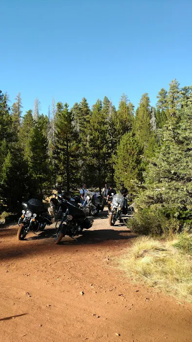 Mud Creek Campground 5