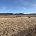 Junipers Reservoir RV Resort