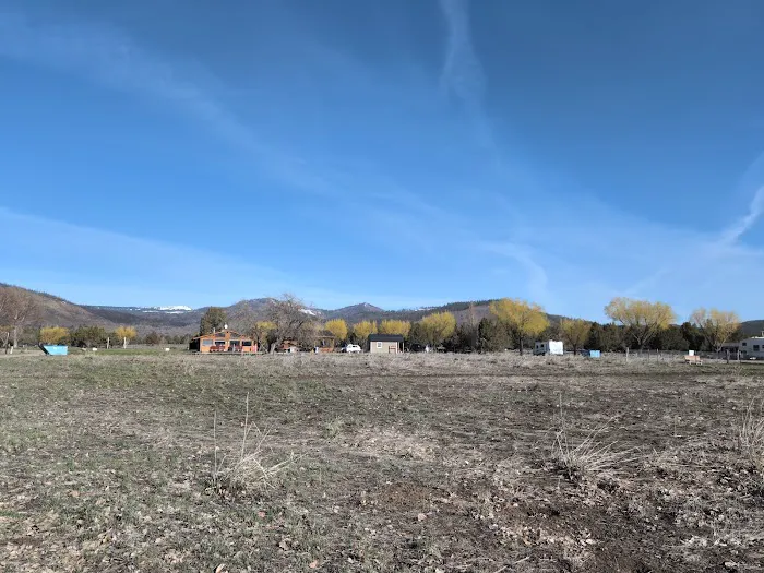 Junipers Reservoir RV Resort 7