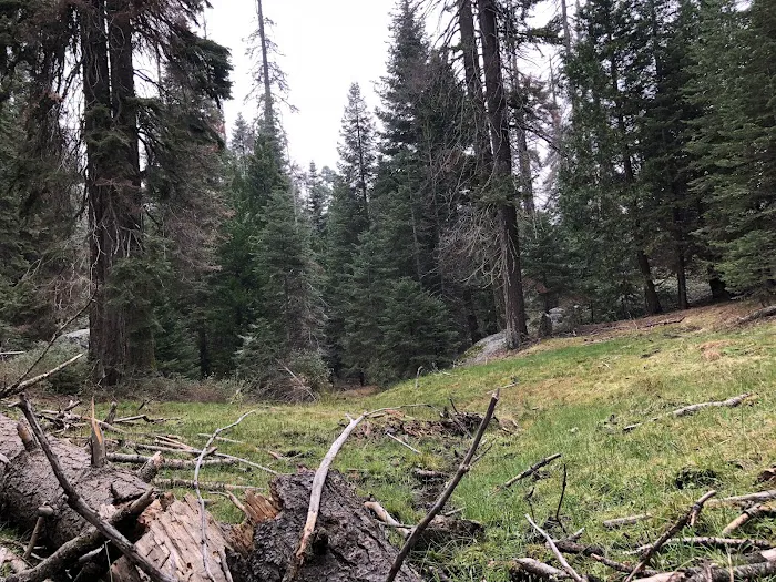 Holey Meadow (recgovnpsdata) 7