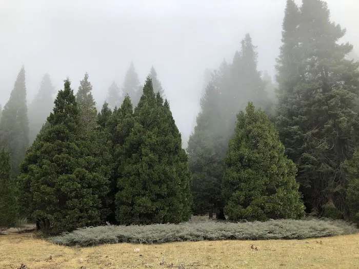 Holey Meadow (recgovnpsdata) 9