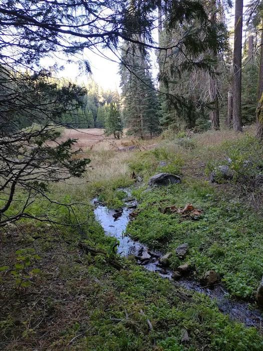 Holey Meadow (recgovnpsdata) 5