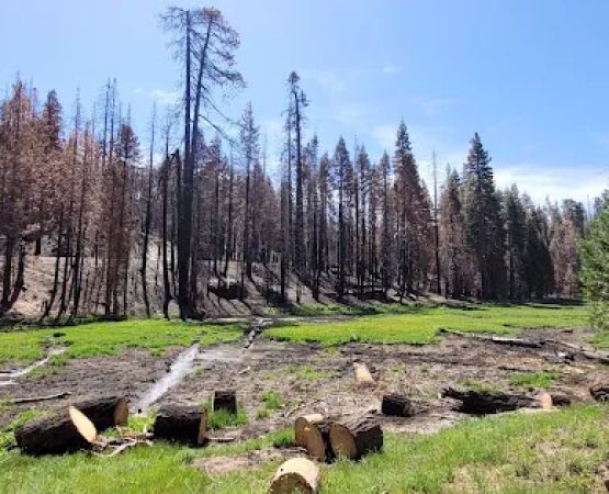 Holey Meadow (recgovnpsdata)