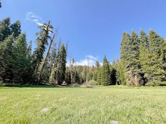 Holey Meadow (recgovnpsdata) 2