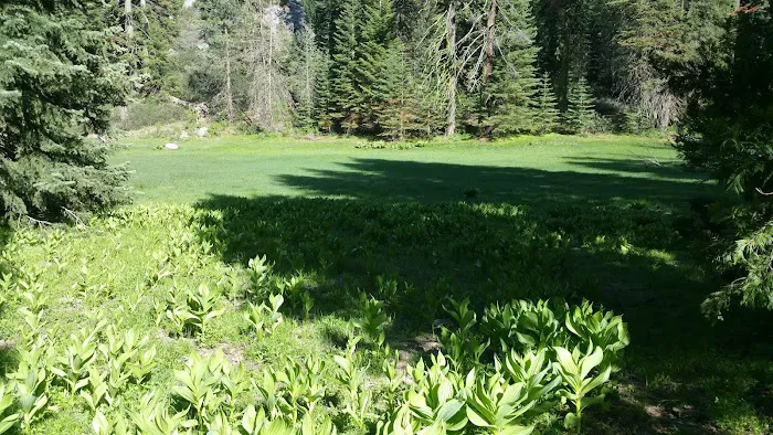 Holey Meadow (recgovnpsdata) 8
