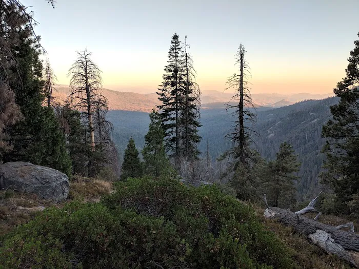 Swanson Campground 0