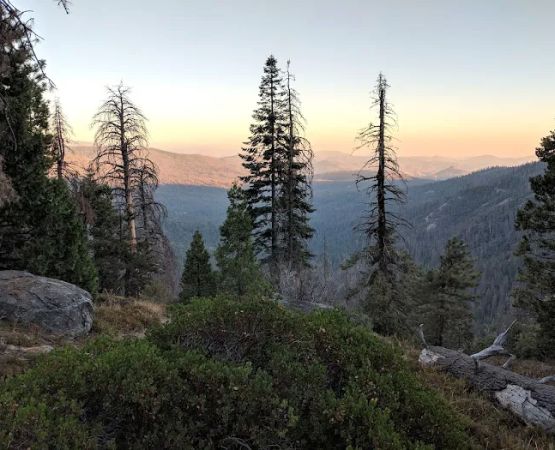 Swanson Campground