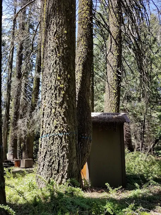 Swanson Campground 7