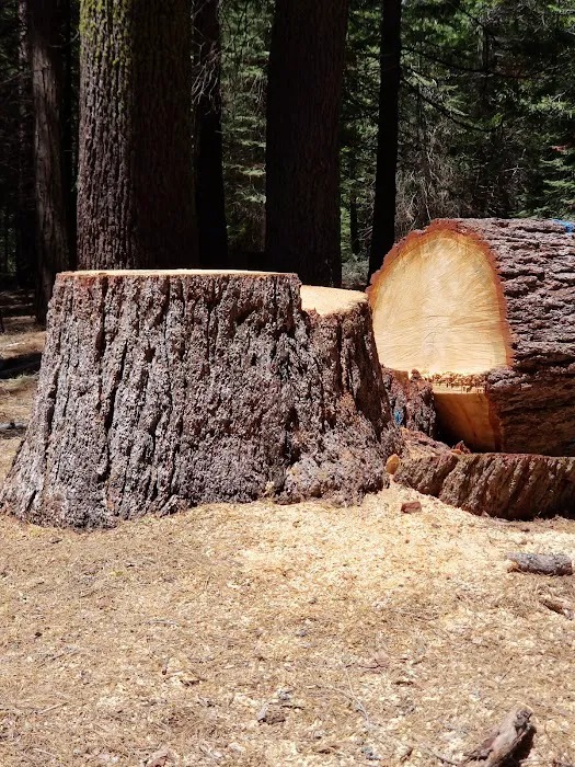 Swanson Campground 4