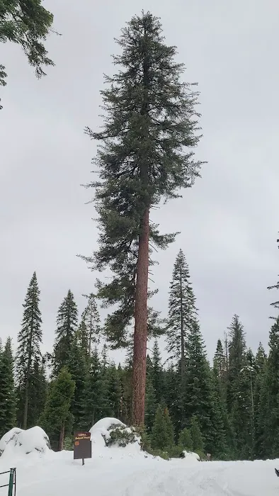 Summit Meadow Campground 0