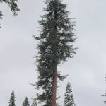 Summit Meadow Campground