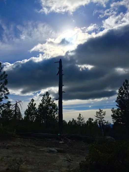 Summit Meadow Campground 7