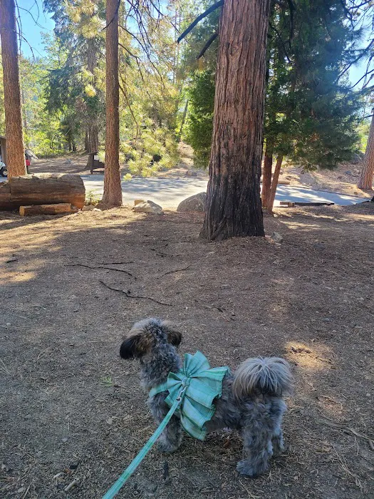 Upper Dinkey Creek Campground 7
