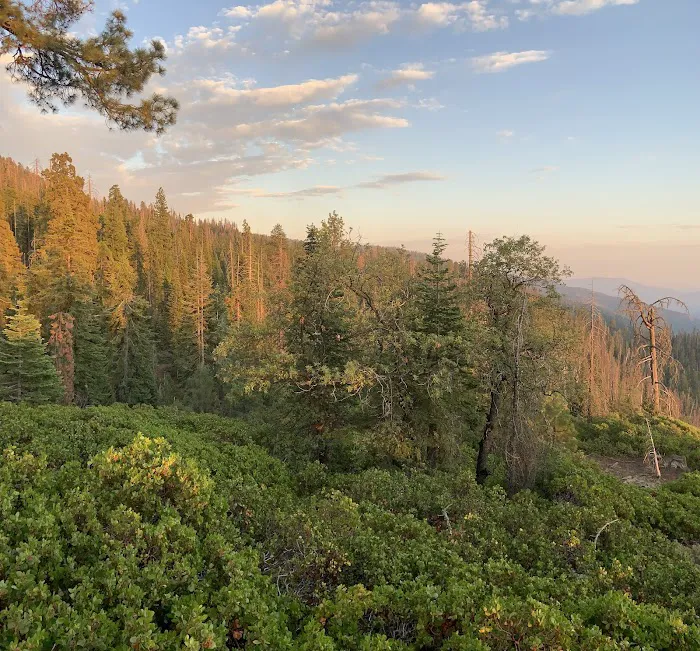 Upper Dinkey Creek Campground 6