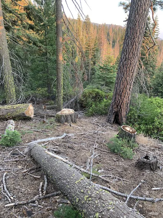 Upper Dinkey Creek Campground 0