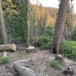 Upper Dinkey Creek Campground