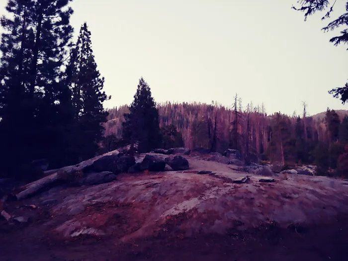 Upper Dinkey Creek Campground 4