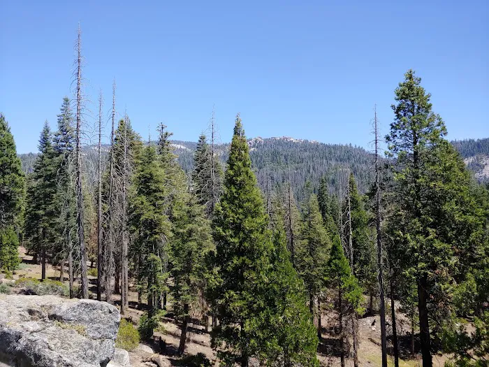 Upper Dinkey Creek Campground 5